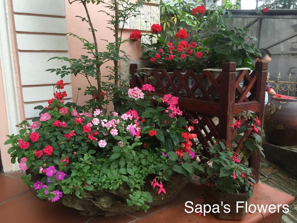 Thai Binh Sapa Hotel エクステリア 写真