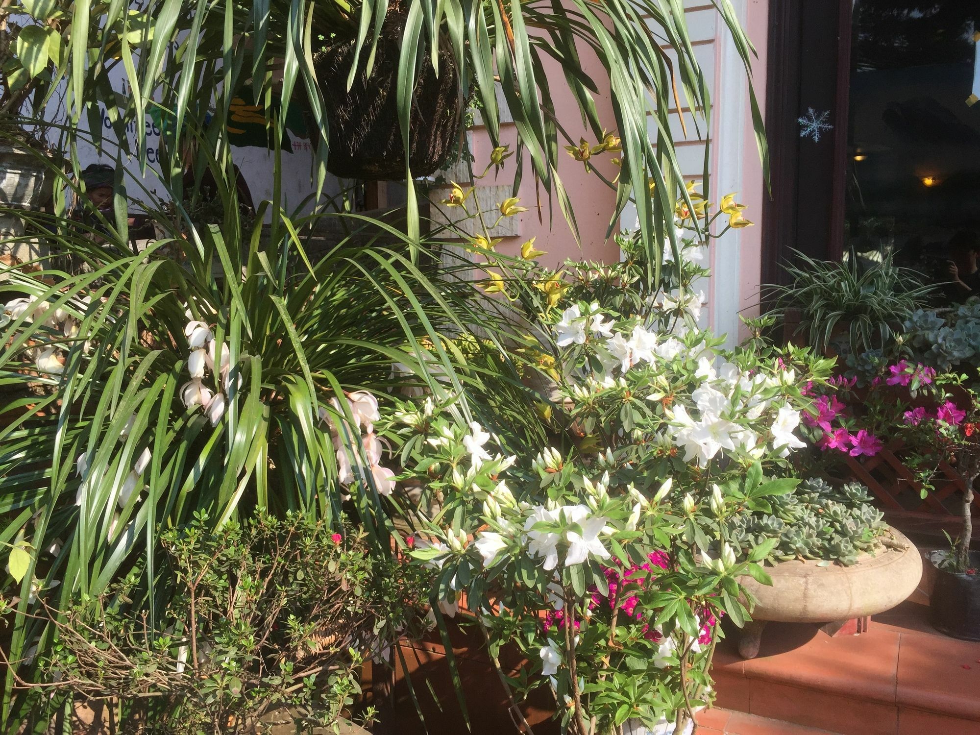 Thai Binh Sapa Hotel エクステリア 写真